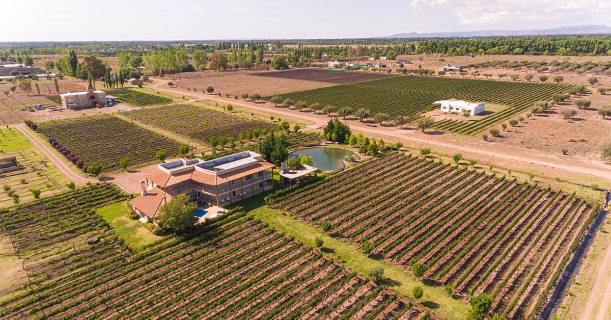 Chaglasian Wine & Suites Сан-Рафаэль Экстерьер фото