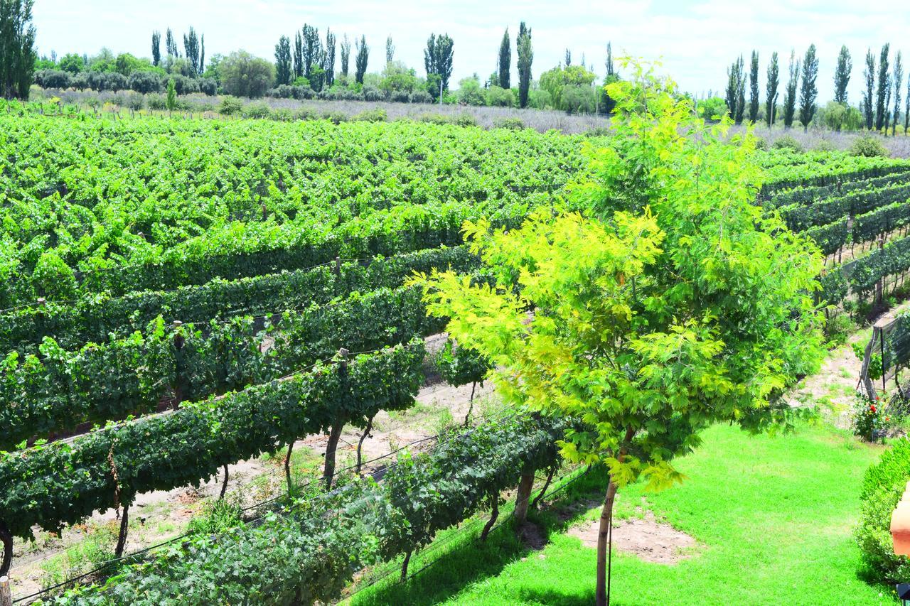 Chaglasian Wine & Suites Сан-Рафаэль Экстерьер фото